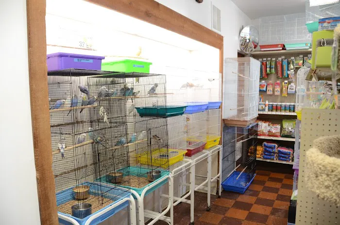 Terry's Aquarium & Pet Center Picture 5