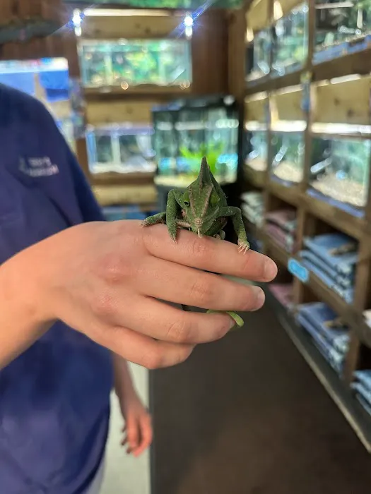 Terry's Aquarium & Pet Center Picture 4