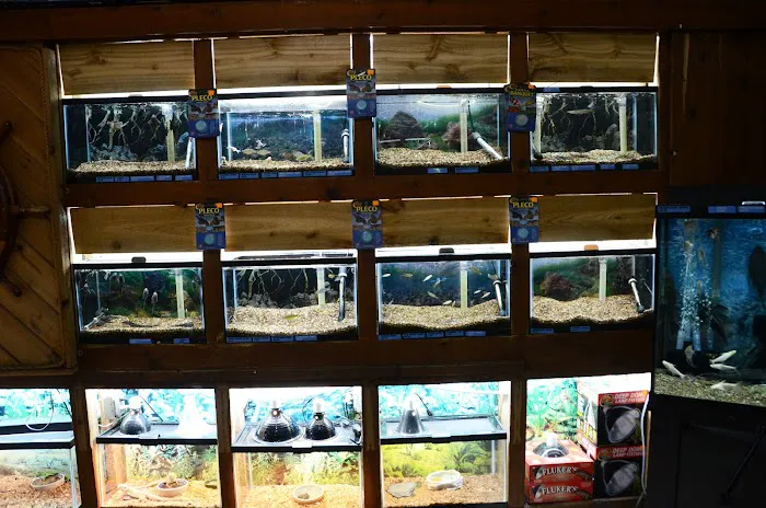 Terry's Aquarium & Pet Center Picture 7