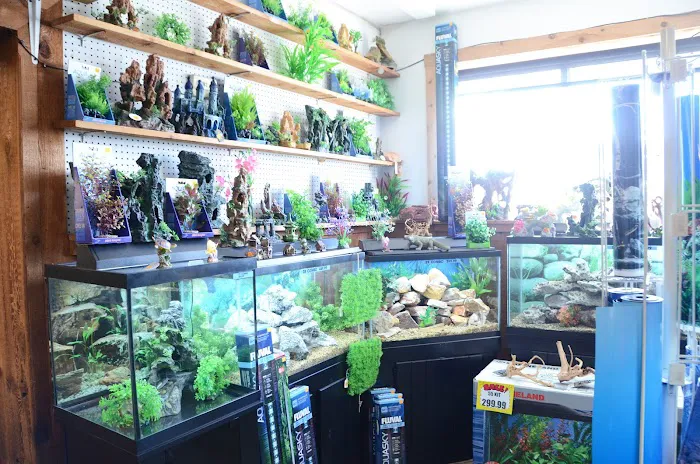 Terry's Aquarium & Pet Center Picture 1