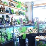 Terry's Aquarium & Pet Center