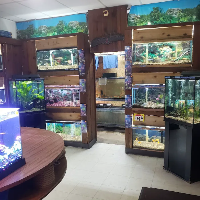 Terry's Aquarium & Pet Center Picture 9