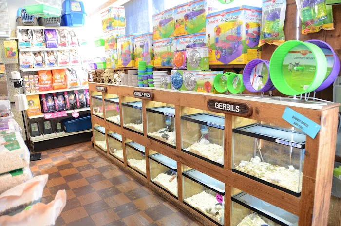 Terry's Aquarium & Pet Center Picture 2