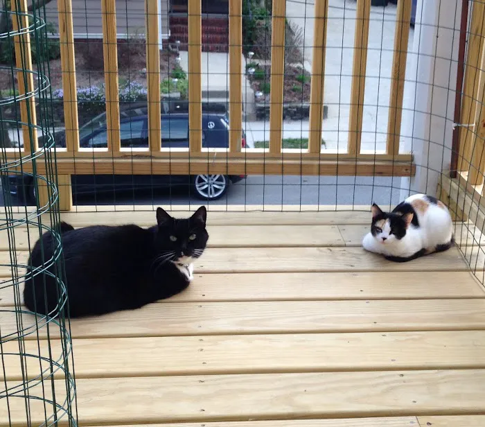 Providence River Animal Hospital Picture 3