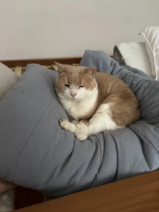 Providence River Animal Hospital Picture 6