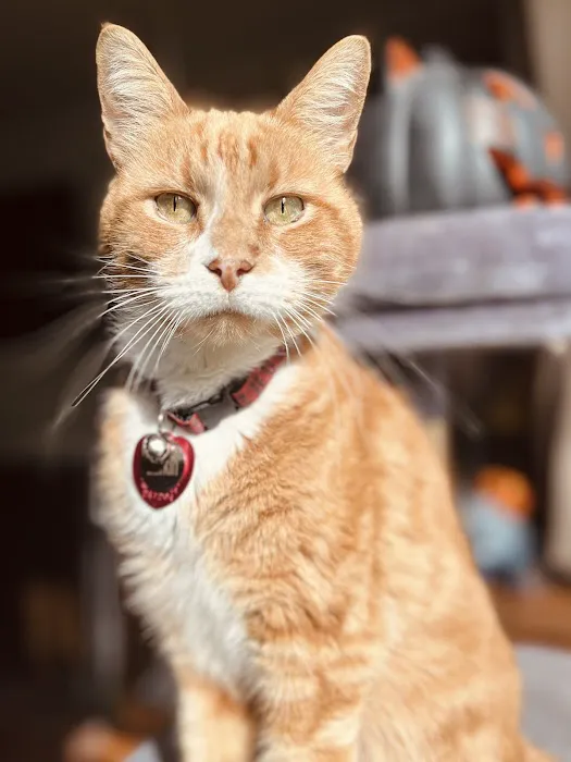 Providence River Animal Hospital Picture 1