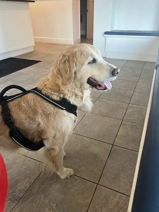 Providence River Animal Hospital Picture 9