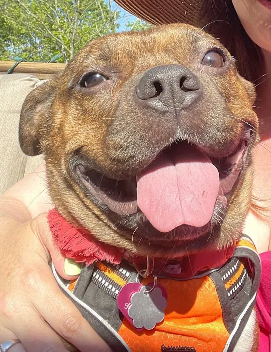 Providence River Animal Hospital Picture 4