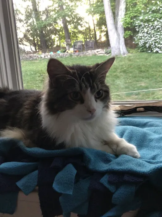 Providence River Animal Hospital Picture 2