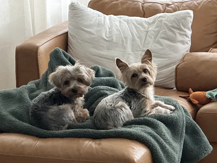 Hug-A-Pup Picture 6