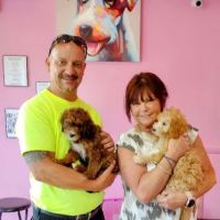 Paw Time Puppies ico