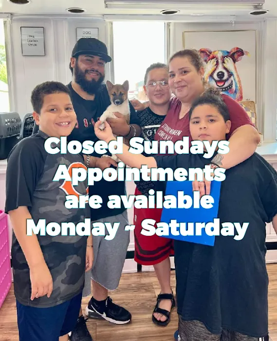 Paw Time Puppies Picture 5