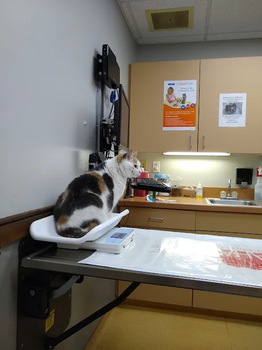 VCA Povar Animal Hospital Picture 2