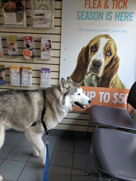 Chippens Hill Veterinary Hospital Picture 3