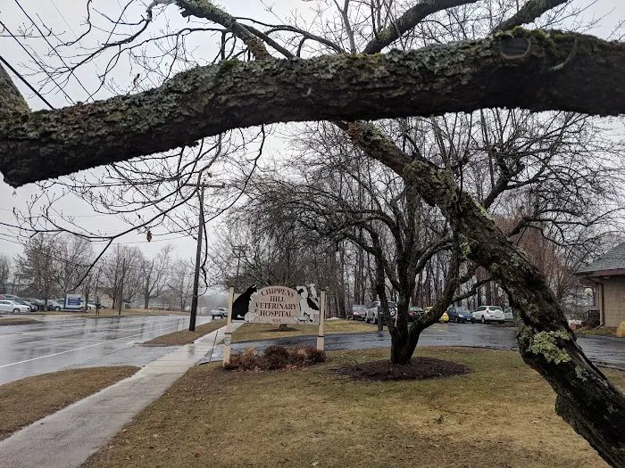 Chippens Hill Veterinary Hospital Picture 1