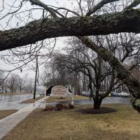 Chippens Hill Veterinary Hospital ico