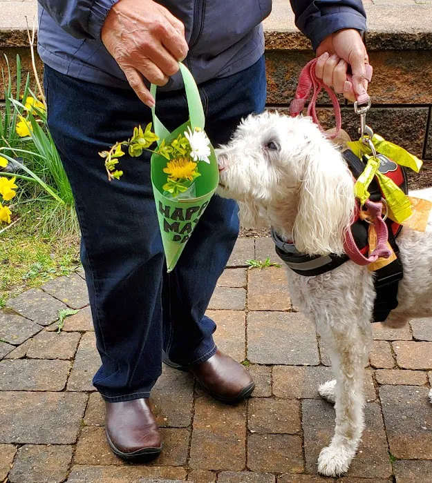 Chippens Hill Veterinary Hospital Picture 10