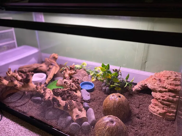 Dope Exotics Reptiles Picture 9