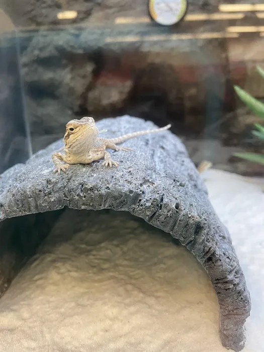 Petco Picture 4