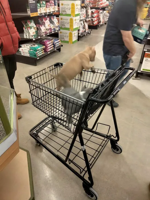 Petco Picture 6