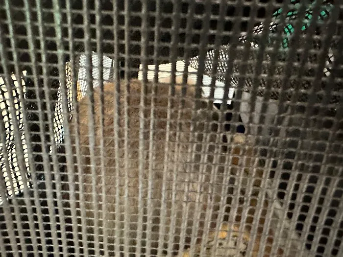 Sandbank Veterinary Hospital Picture 7