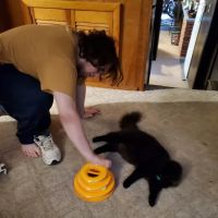 Sandbank Veterinary Hospital ico