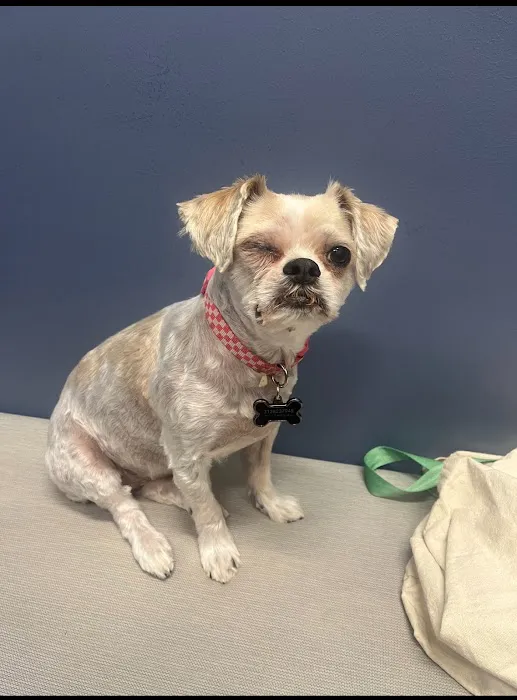 7 Seas Pet Care Center Picture 8