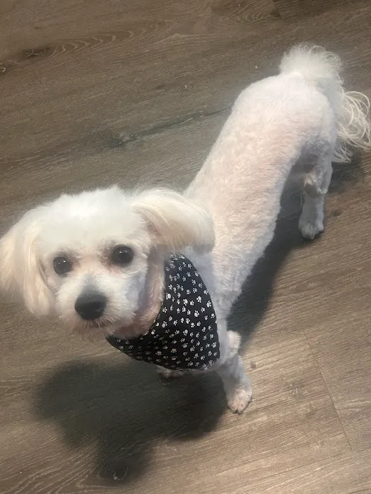 7 Seas Pet Care Center Picture 10