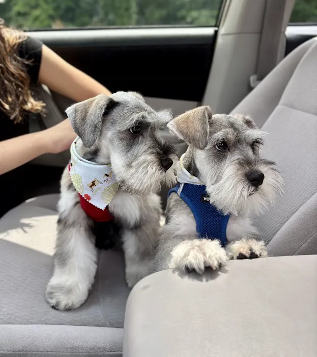 Second Chance Community Veterinary Hospital Picture 6