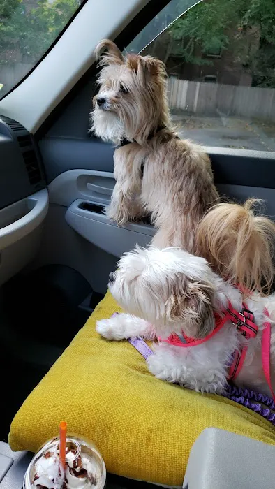 Second Chance Community Veterinary Hospital Picture 9