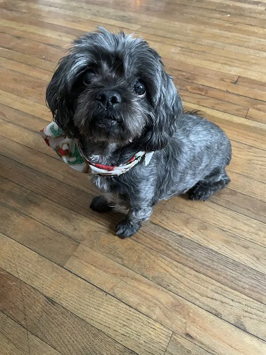 Second Chance Community Veterinary Hospital Picture 7