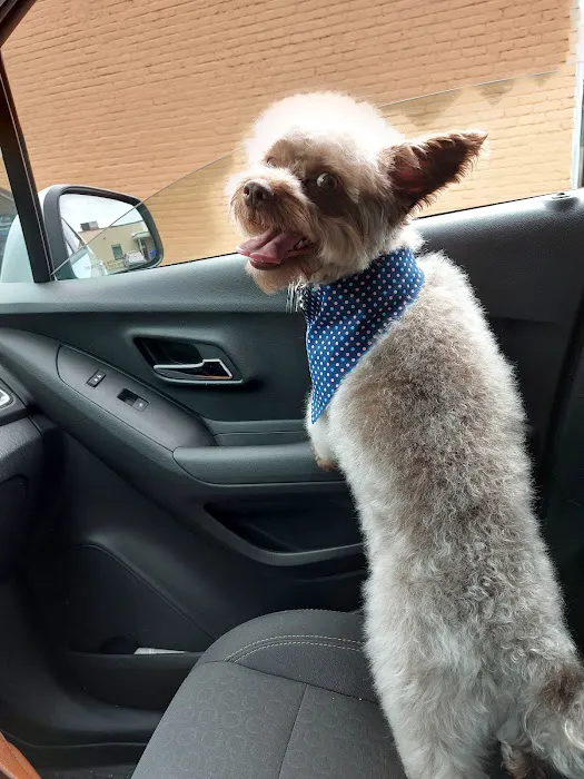 Second Chance Community Veterinary Hospital Picture 5