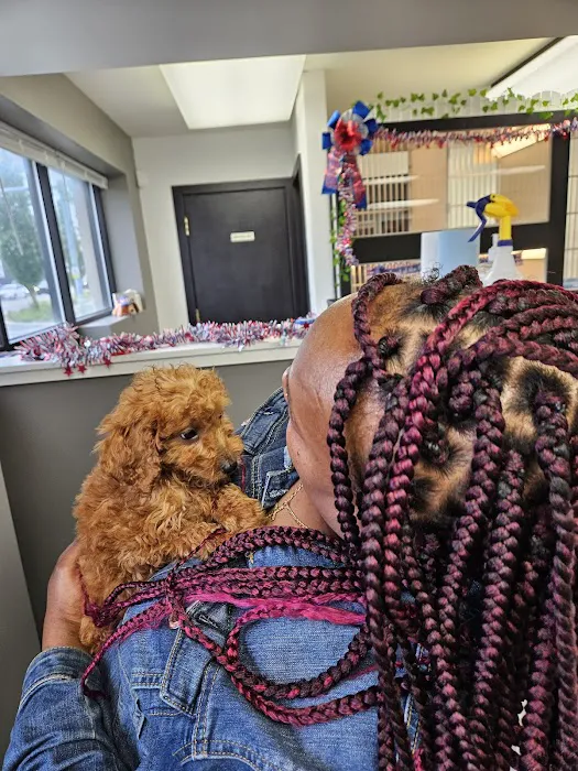 The Puppy Emporium Picture 1