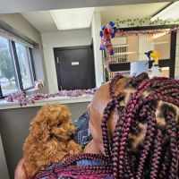 The Puppy Emporium ico