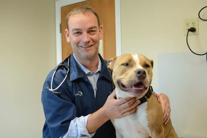 East Springfield Veterinary Hospital Picture 2