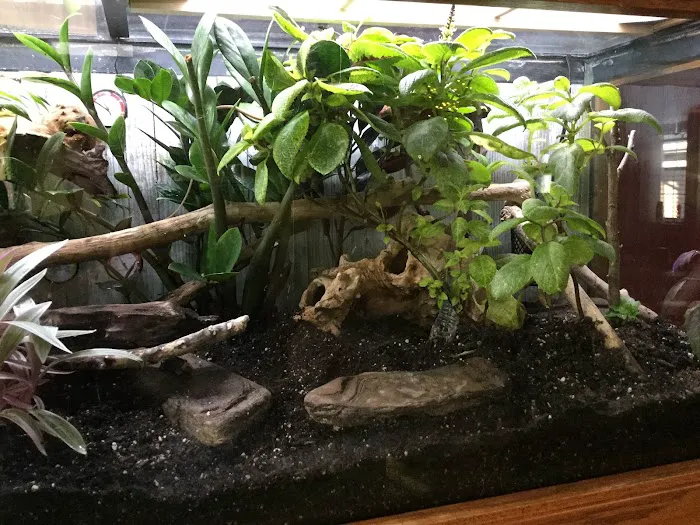 CEF Pets Picture 7