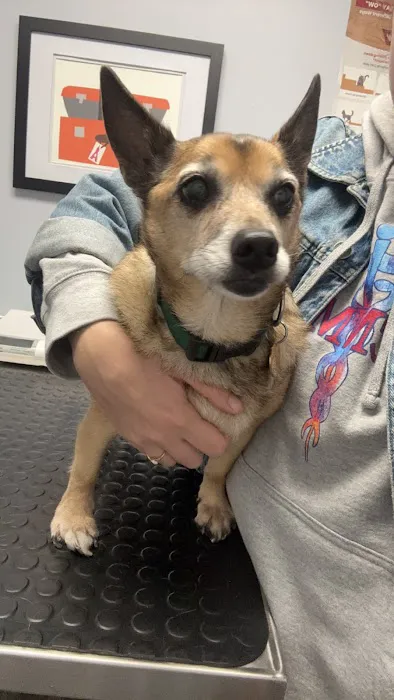 Agawam Animal Hospital Picture 1