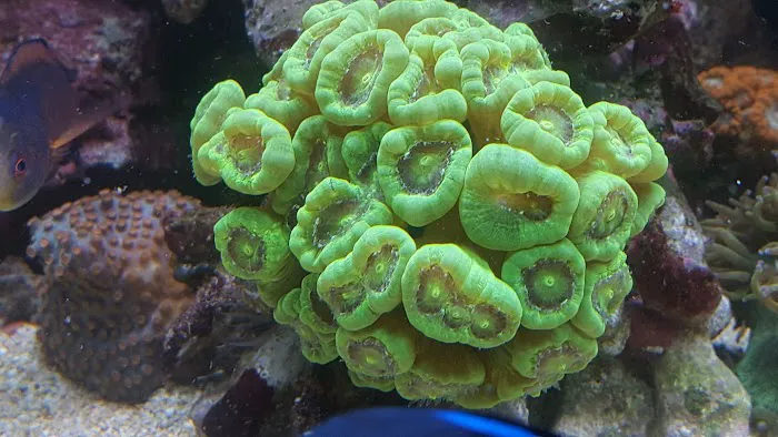 Sealife Services Picture 3