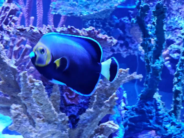 Sealife Services Picture 7