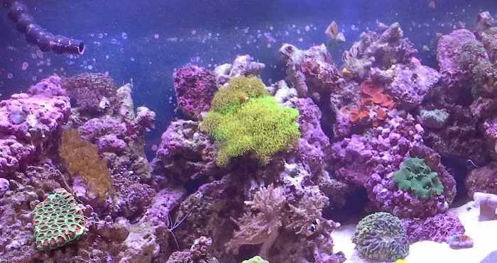 Sealife Services Picture 2