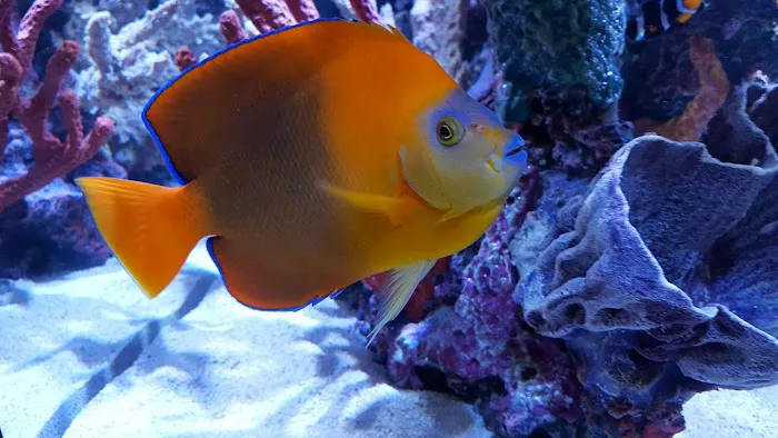 Sealife Services Picture 1