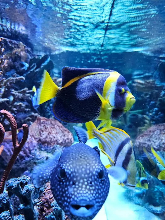 Sealife Services Picture 6