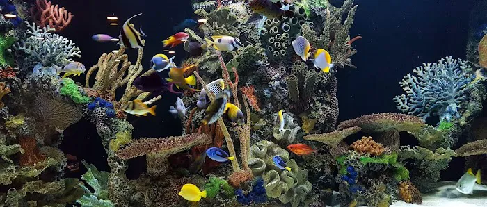 Sealife Services Picture 10