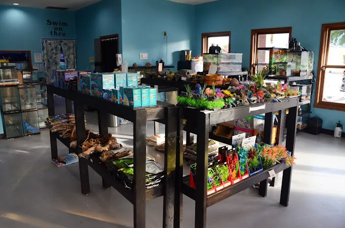 Fish and Friends Pets Picture 4