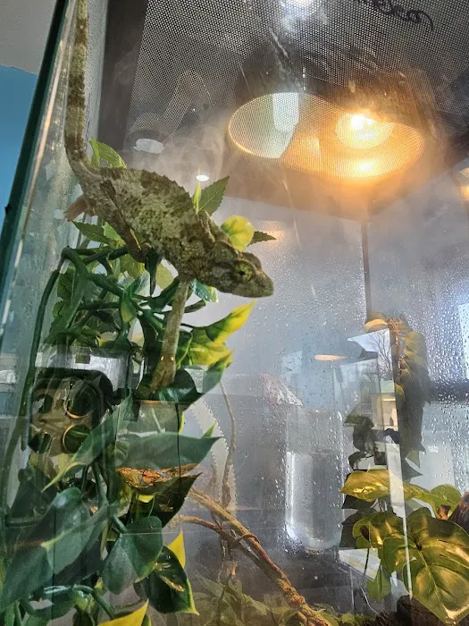 Fish and Friends Pets Picture 5