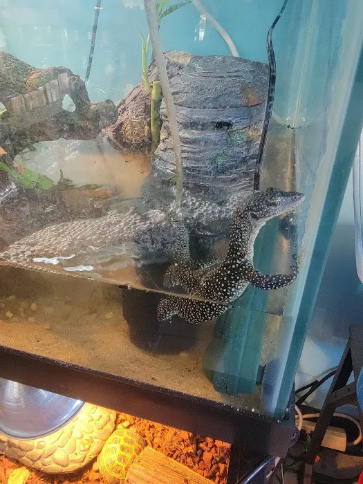 Fish and Friends Pets Picture 7