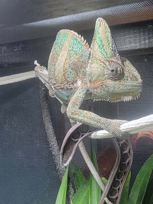 Fish and Friends Pets Picture 6