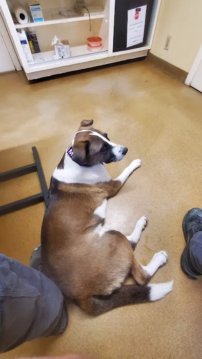 Mill Valley Veterinary Clinic Picture 2