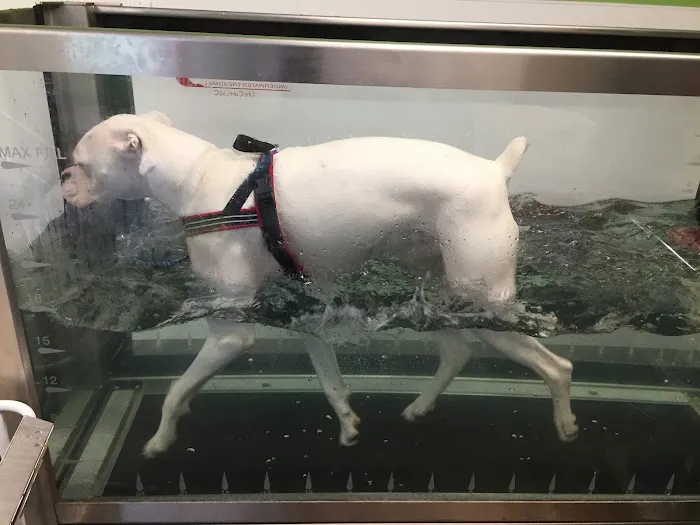Mill Valley Veterinary Clinic Picture 5