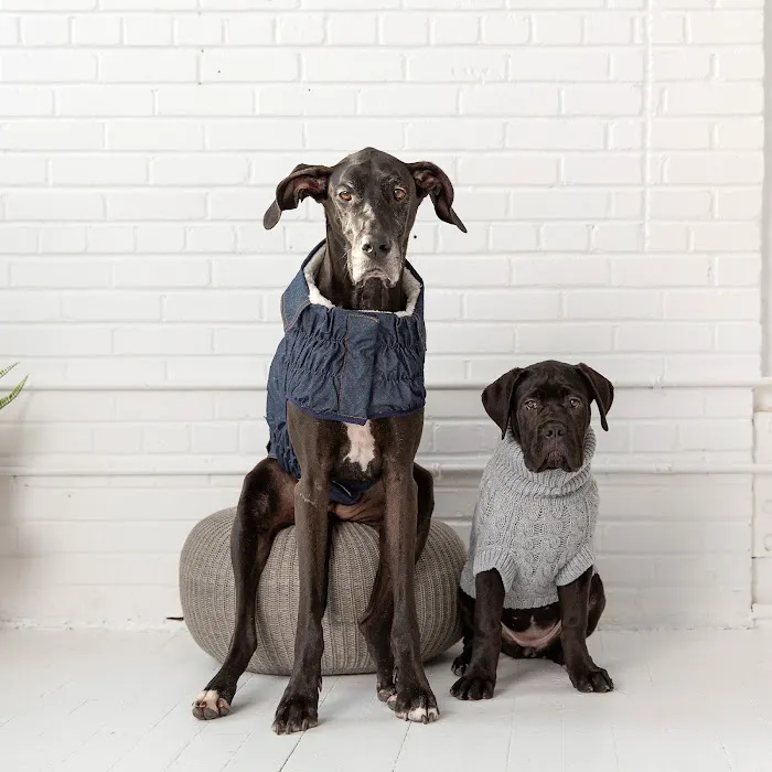PetTee Apparel - Where Pets Come to Shop Picture 3